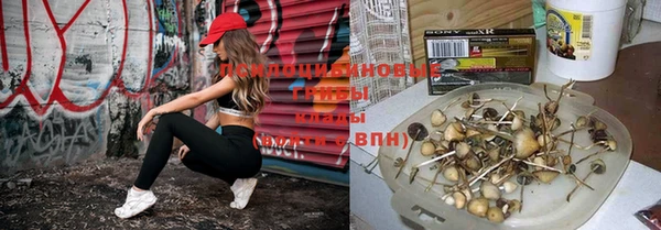 метадон Абаза