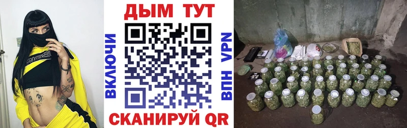 Шишки марихуана планчик Лабытнанги